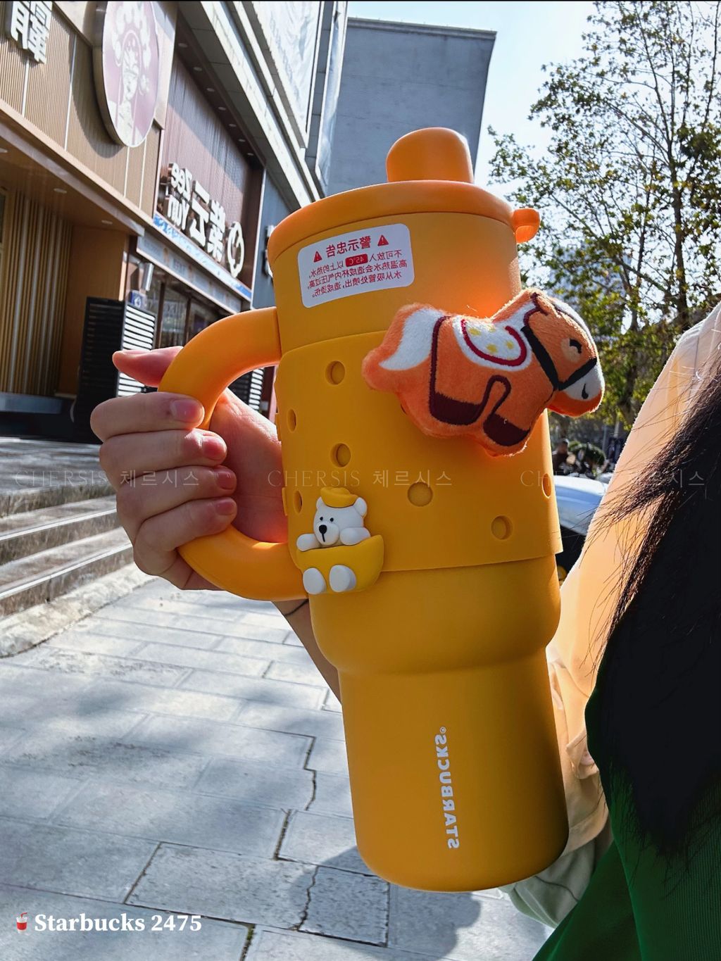 image_A4E782B9-5951-446E-B7CE-7D4D9FE40497_1768191562