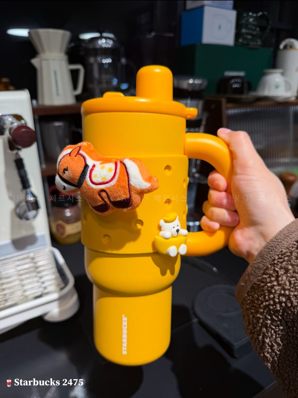 image_E5B1CA5C-EB76-4D9B-AB12-6E1E86385DC8_1768191562