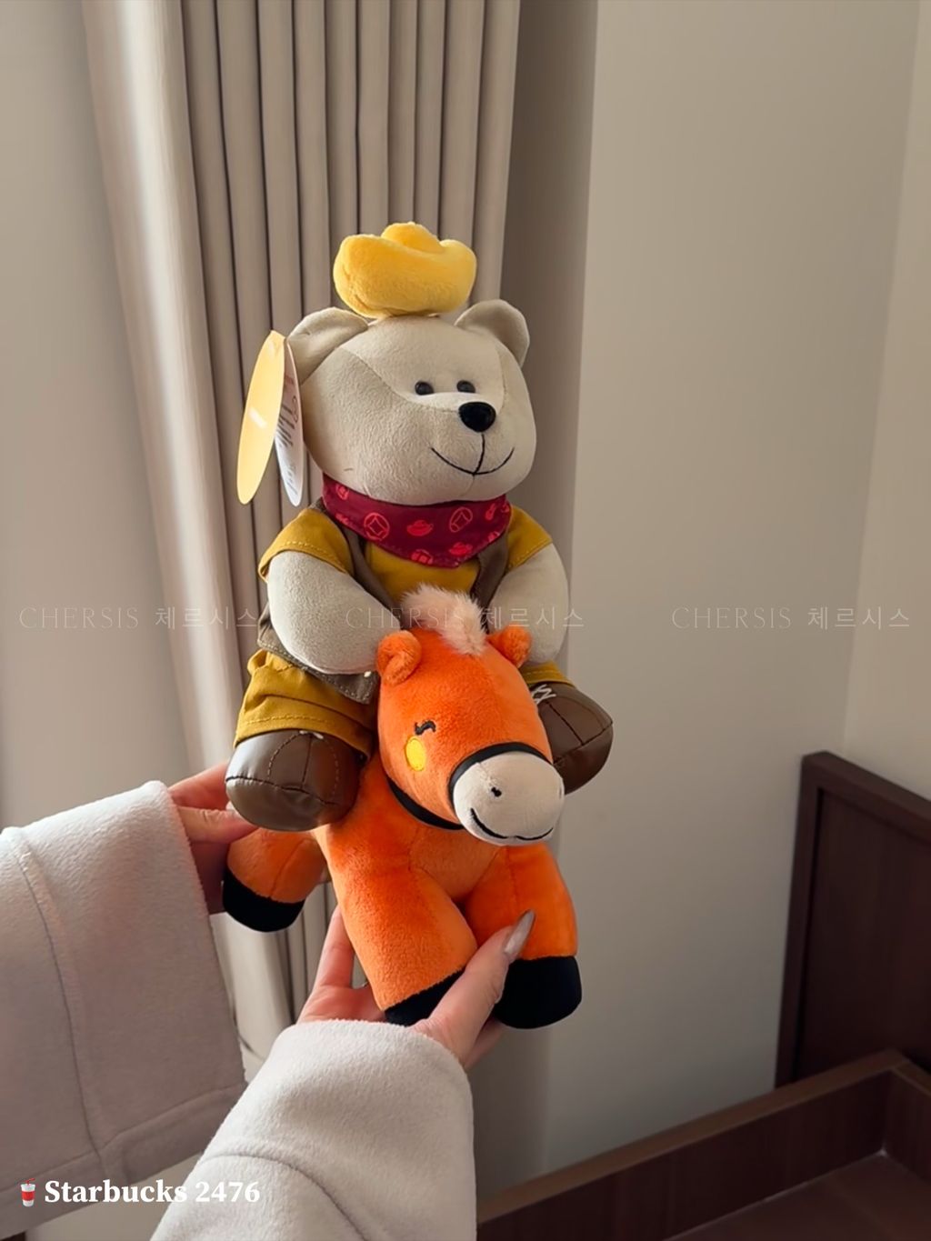 image_234B451D-BCB3-4947-87C7-E3505FC853A5_1768191798