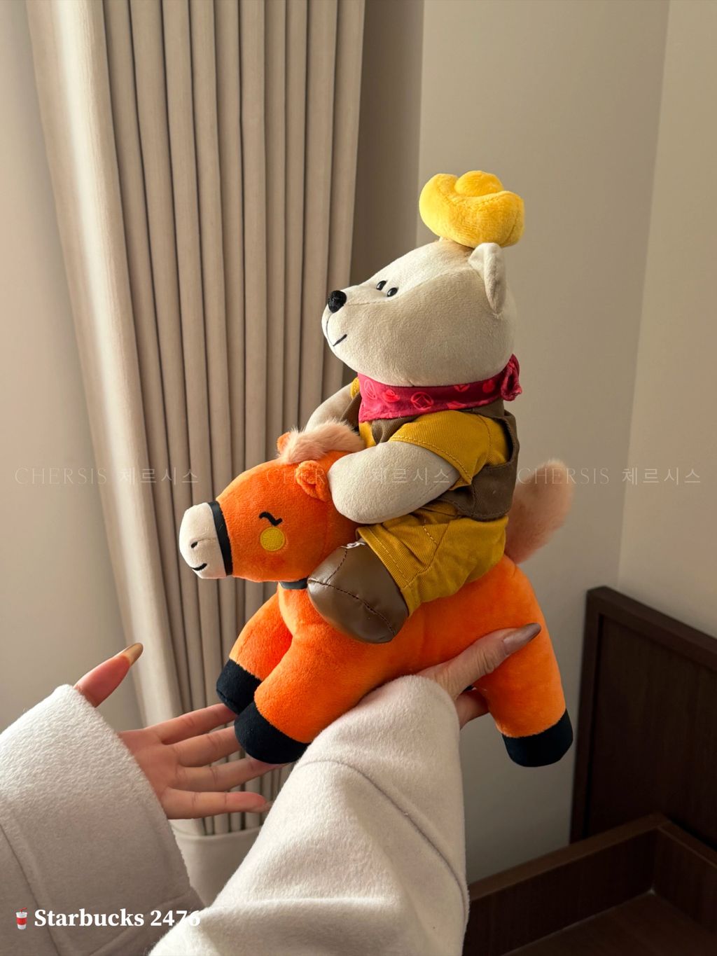 image_26368AF8-611C-4A37-A061-254883C428E2_1768191798