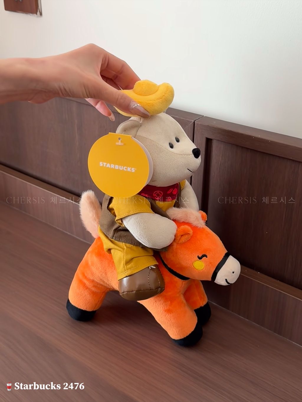 image_4993ECB9-C30E-408A-94E6-0D3C680B254F_1768191798