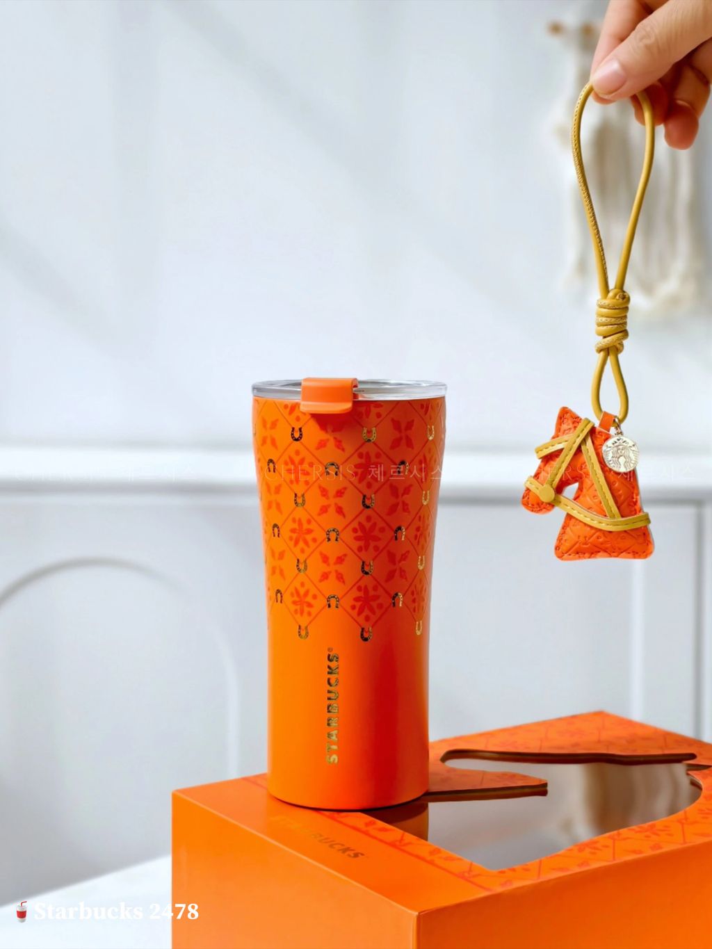 image_9CDC98D1-F21C-4717-8182-615A24C823C6_1768613702