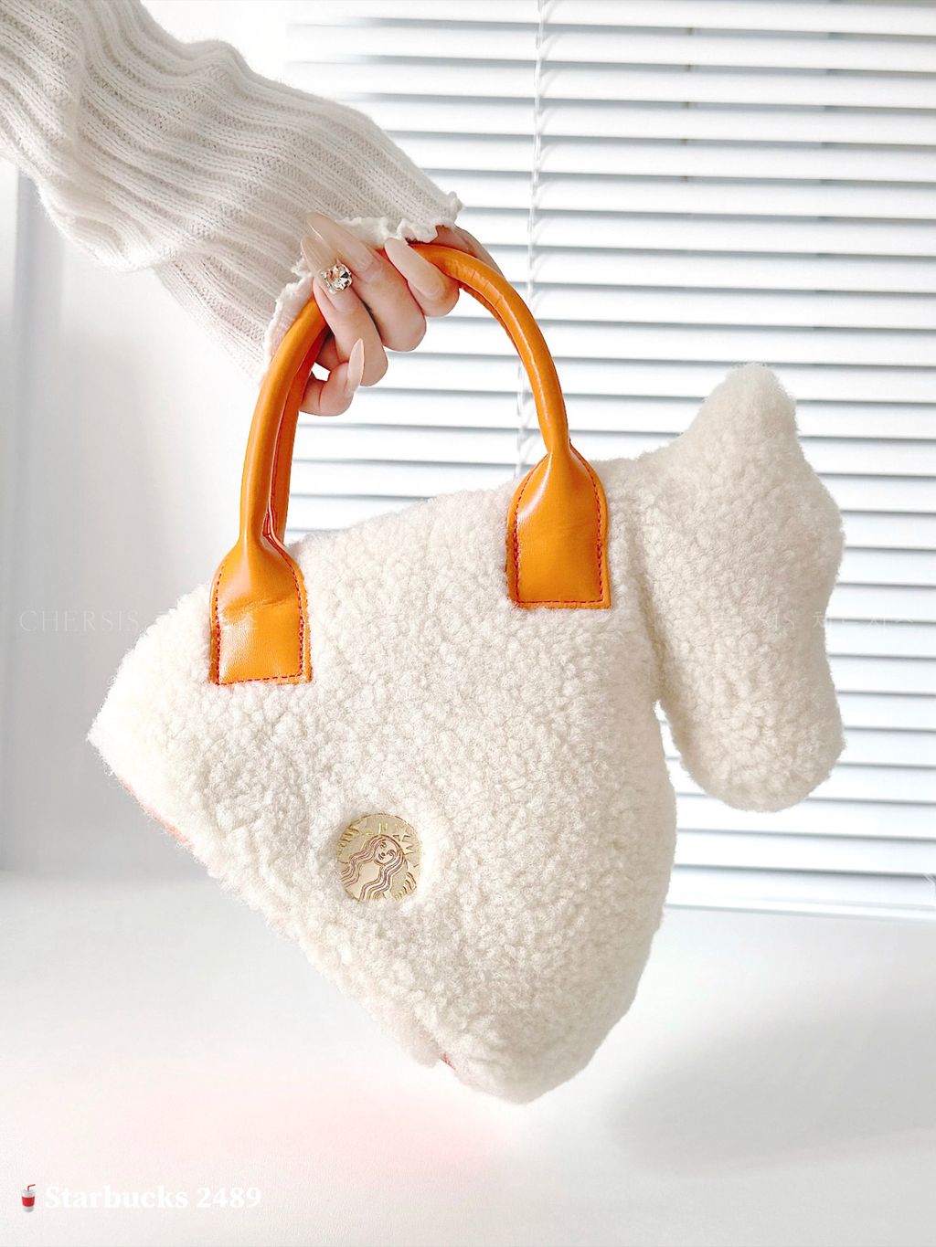 image_18A49454-8F9C-403B-B64E-3927B2D7F752_1768616901