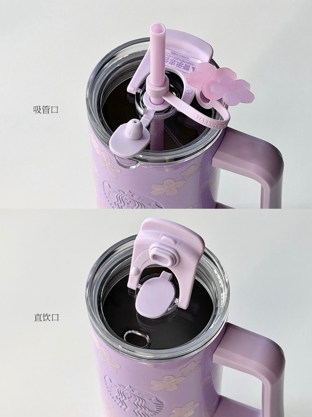 image_8248E2C1-D30D-4BBC-981E-BD25FF5261AF_1772248856