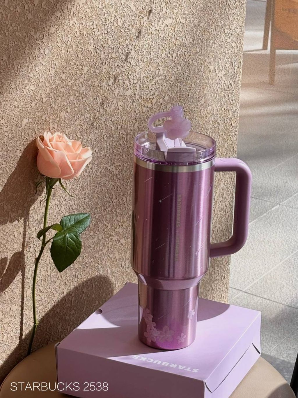 photo_5_2026-02-28_11-24-28