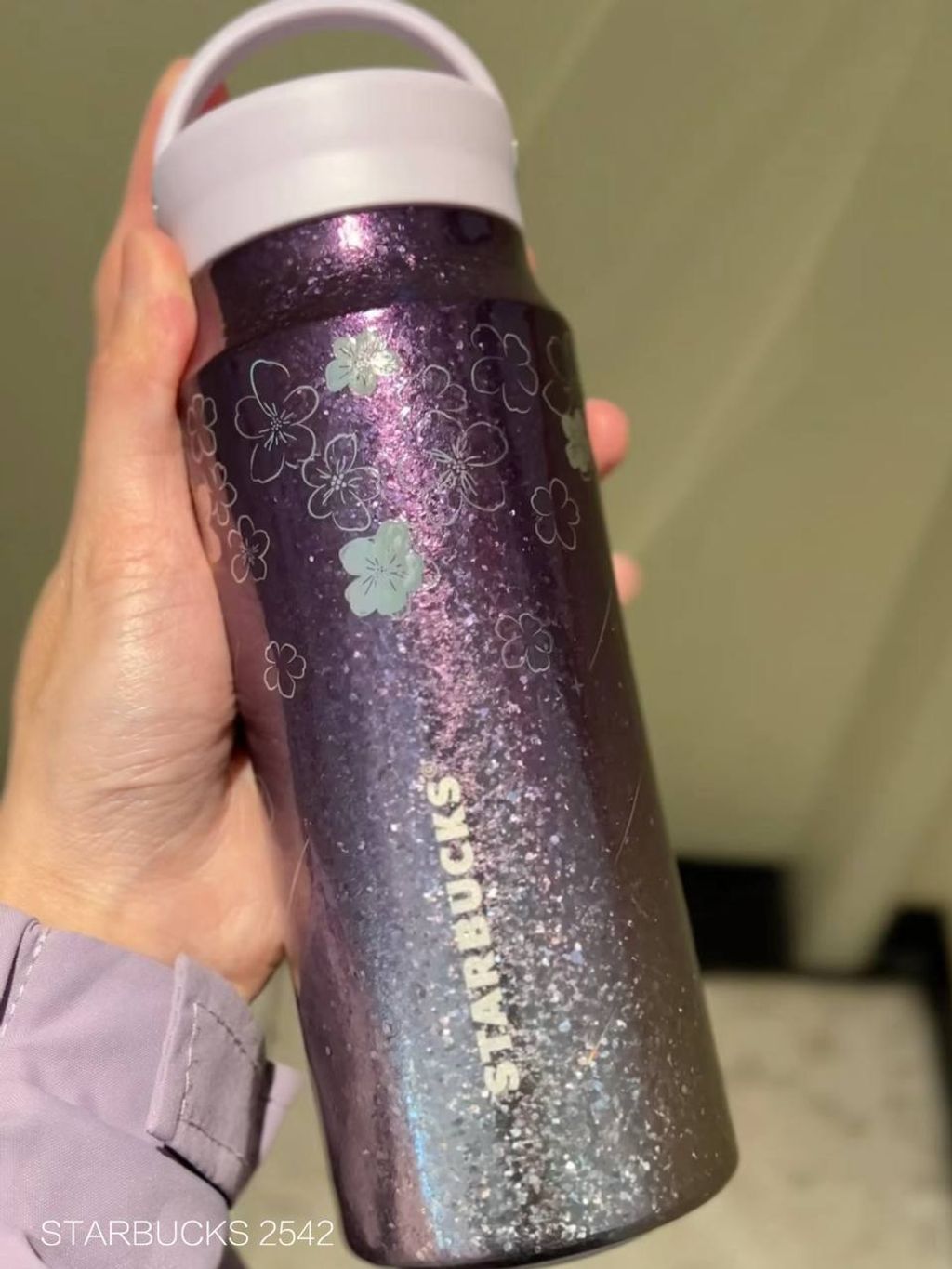 photo_3_2026-02-28_11-32-53