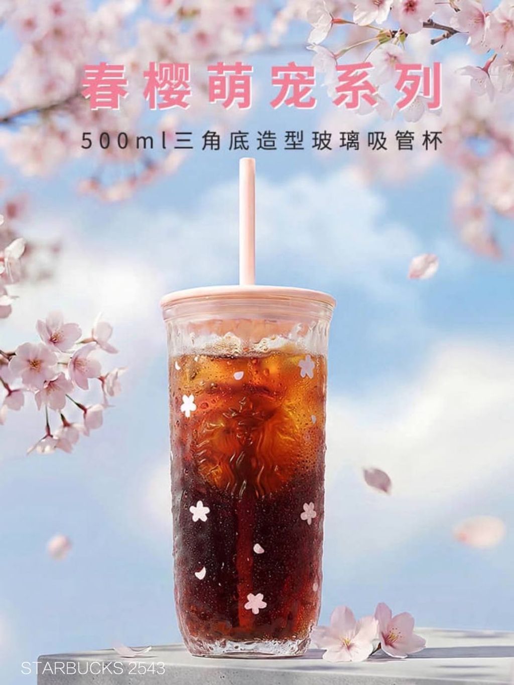 photo_1_2026-03-01_09-49-39