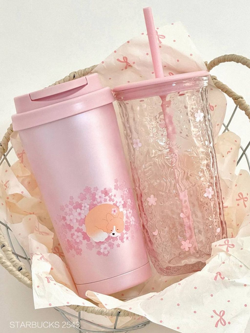 photo_7_2026-03-01_09-49-39