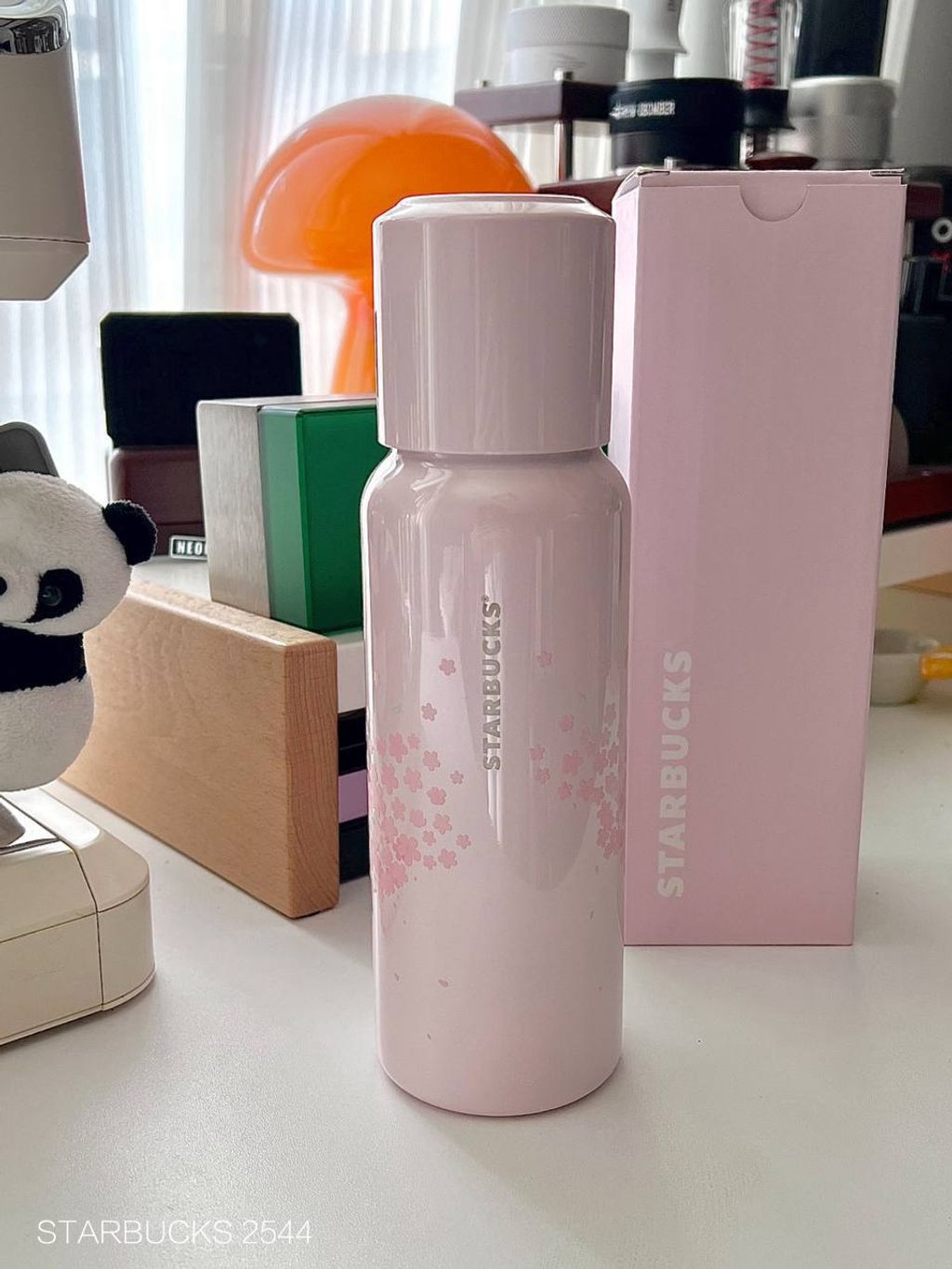 photo_9_2026-03-01_09-52-00