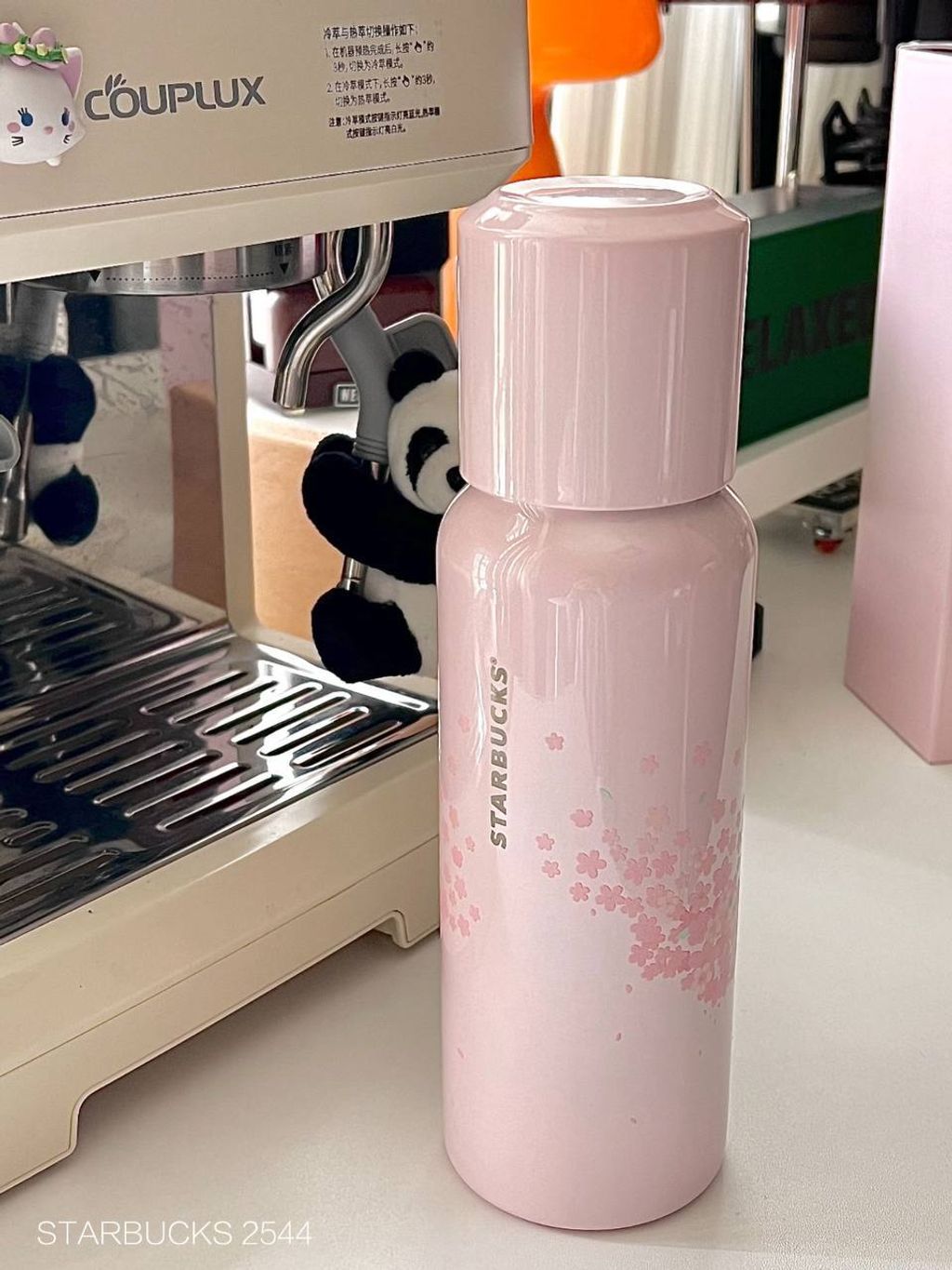 photo_4_2026-03-01_09-52-00