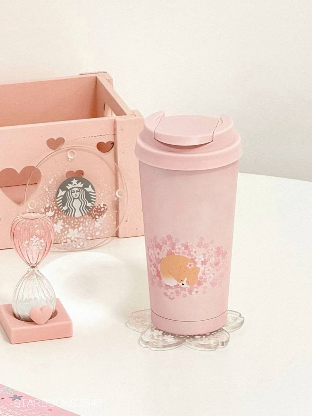 photo_2_2026-03-01_09-52-59