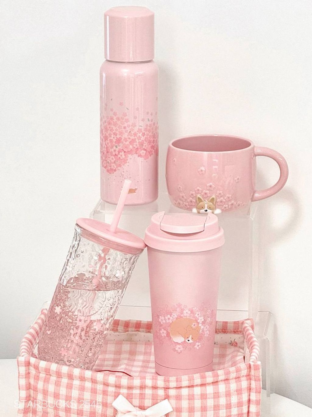 photo_6_2026-03-01_09-52-59