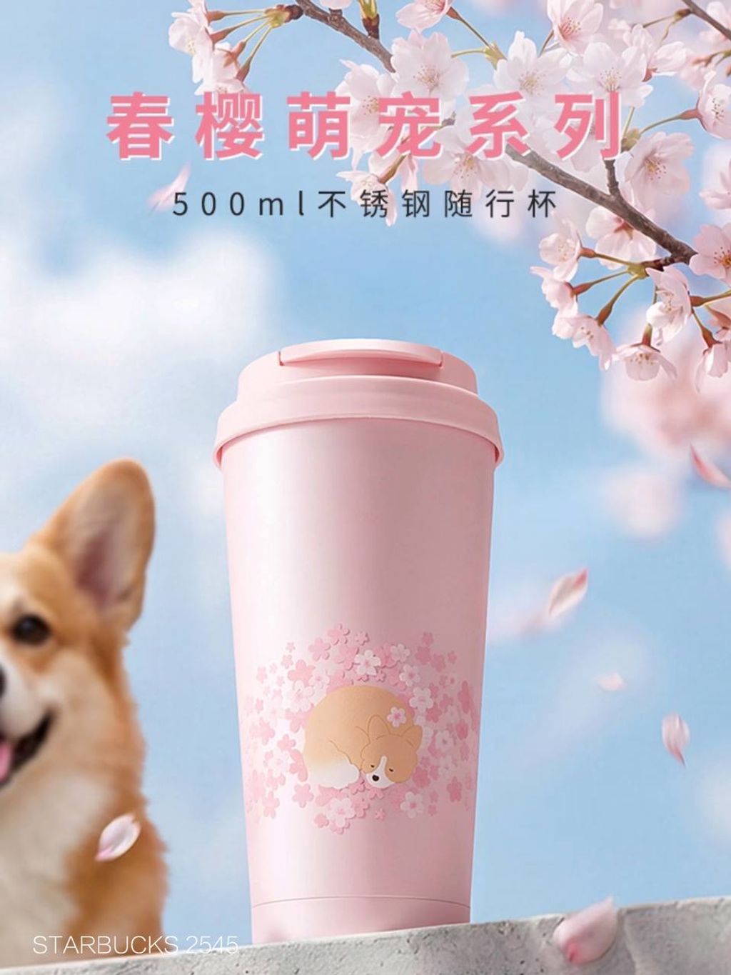 photo_1_2026-03-01_09-52-59