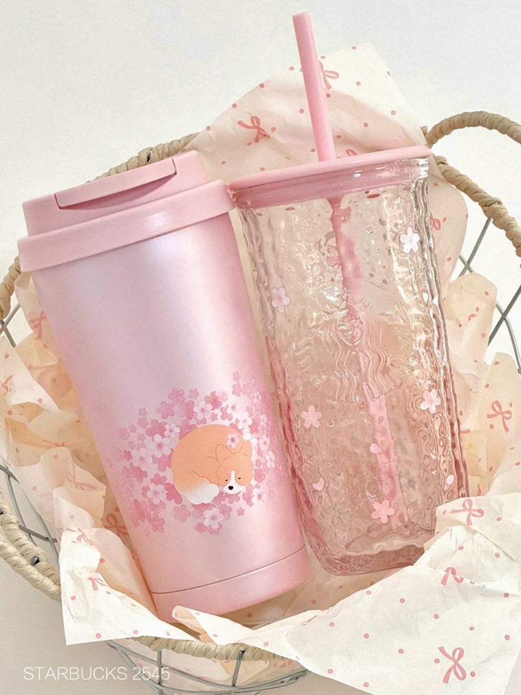 photo_4_2026-03-01_09-52-59