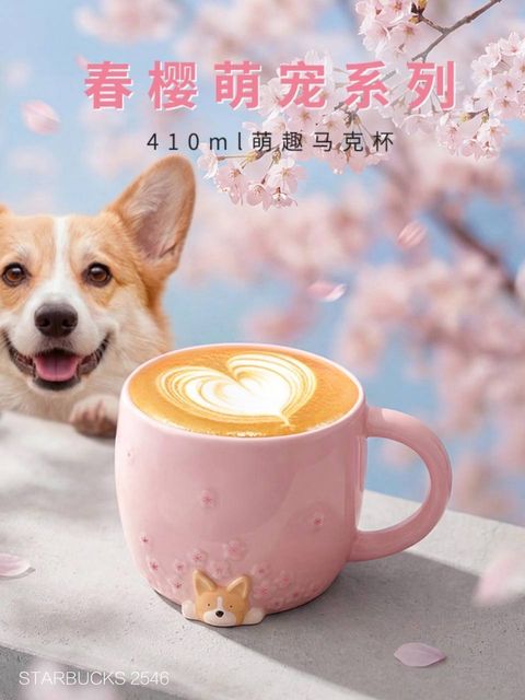 photo_1_2026-03-01_09-56-54