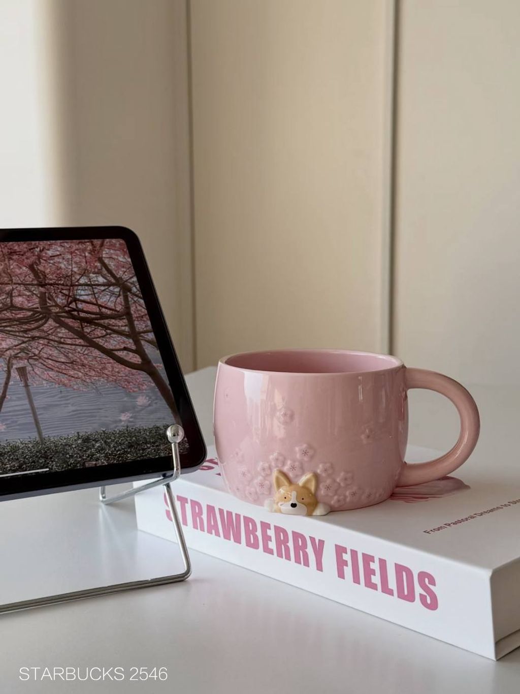 photo_6_2026-03-01_09-56-54