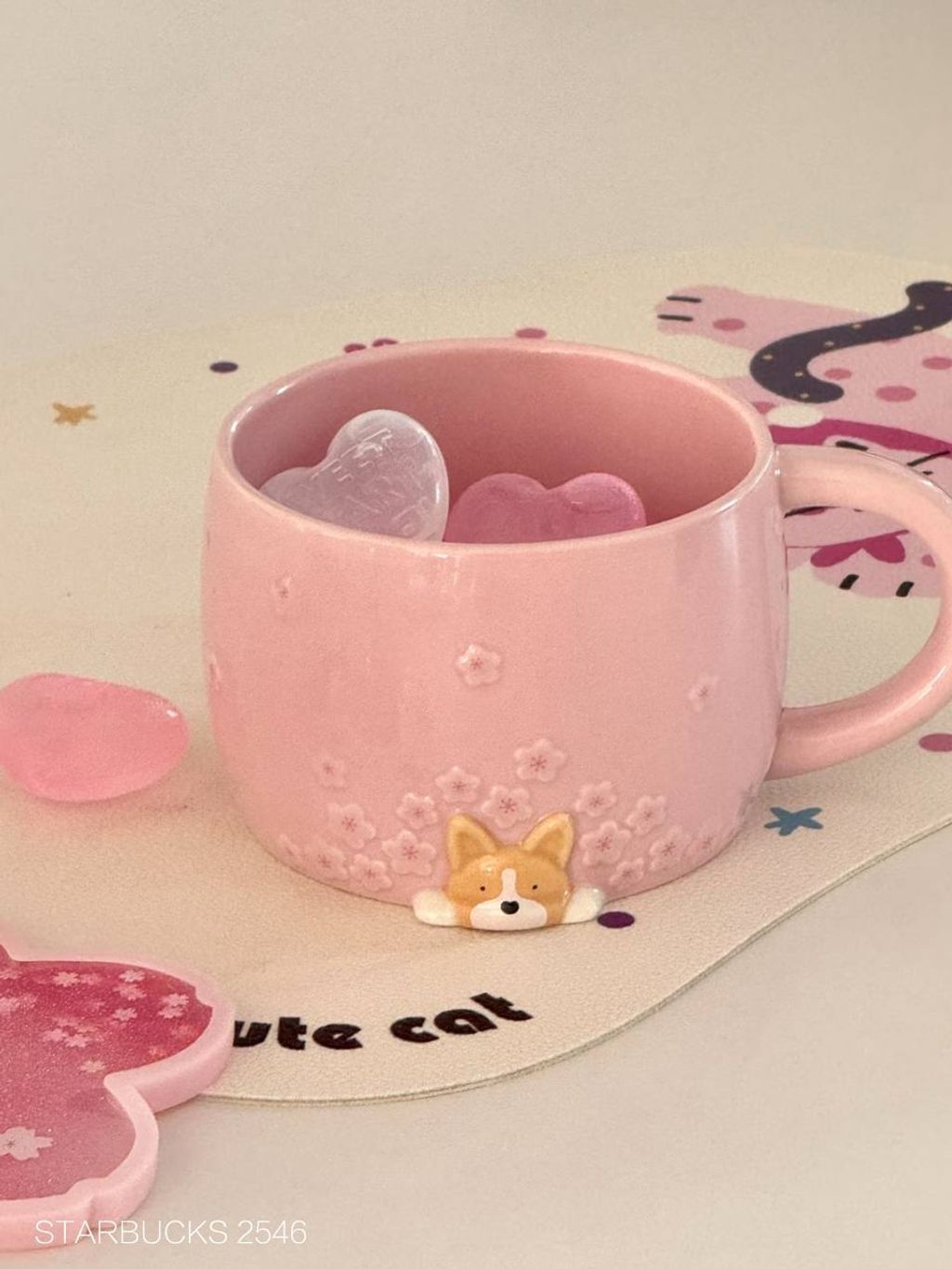 photo_7_2026-03-01_09-56-54