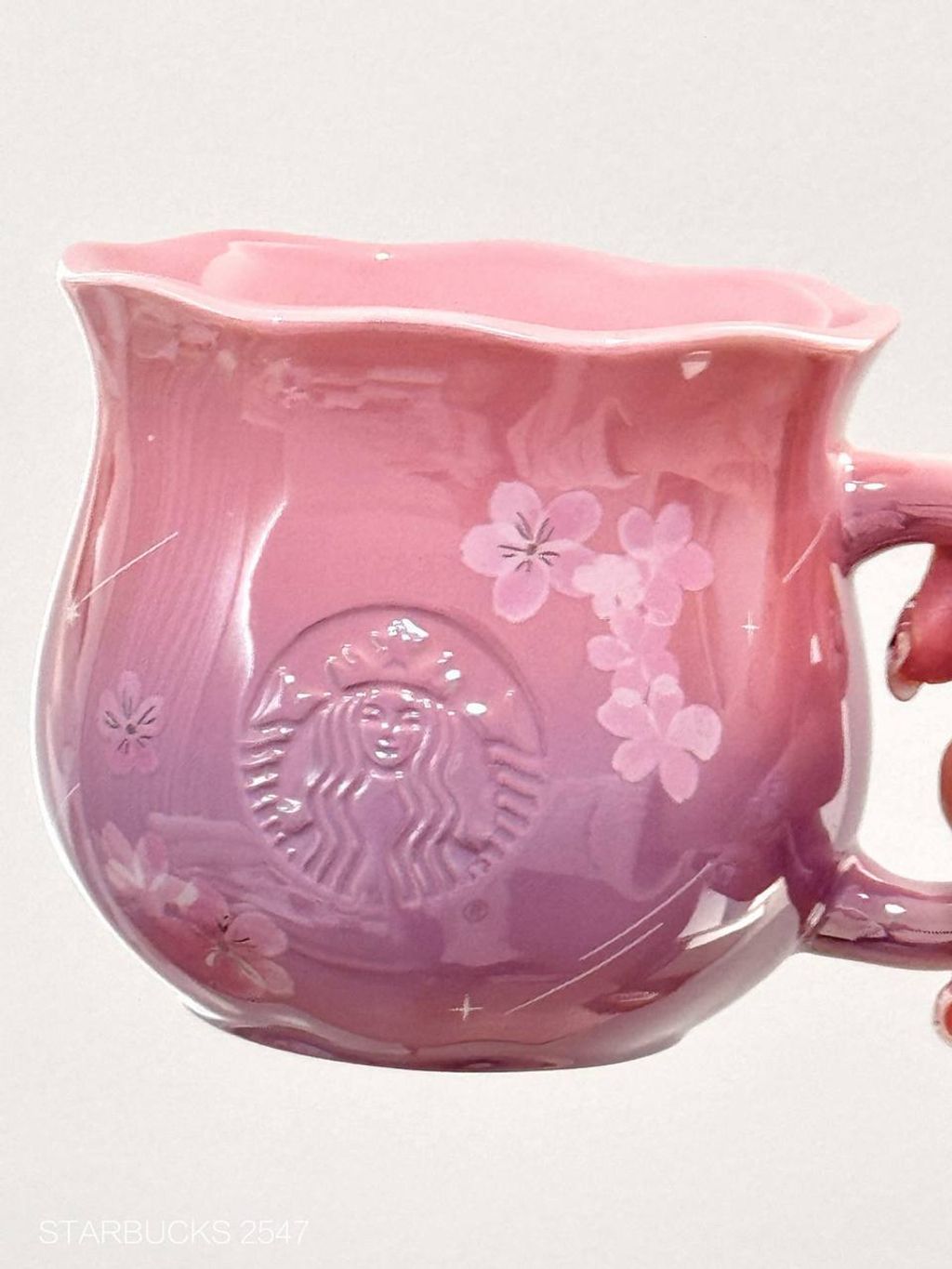 photo_6_2026-03-01_09-58-27