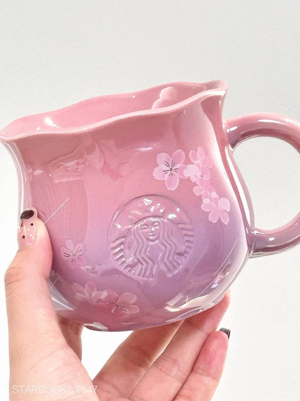 photo_5_2026-03-01_09-58-27