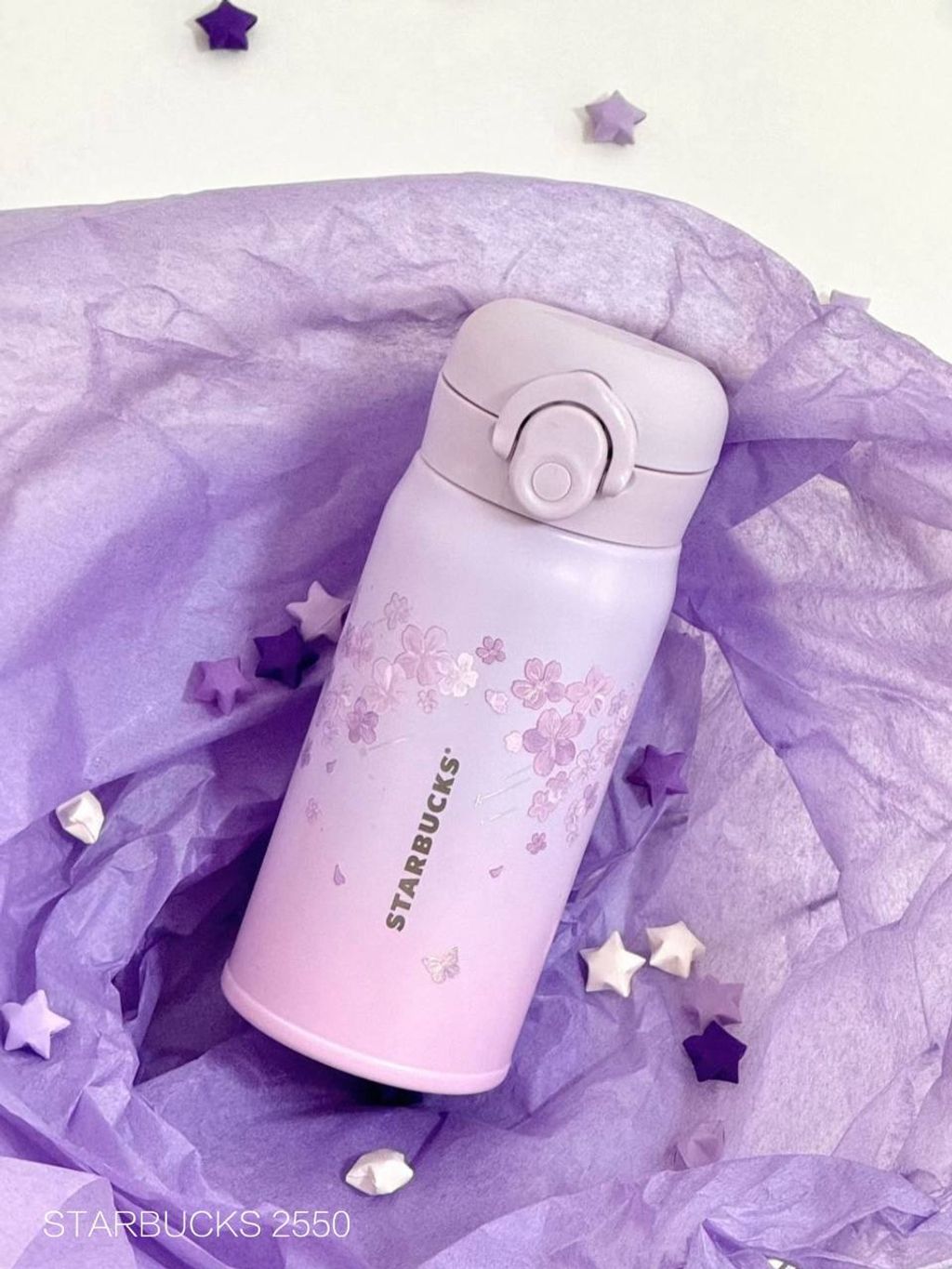 photo_2_2026-03-01_10-02-20