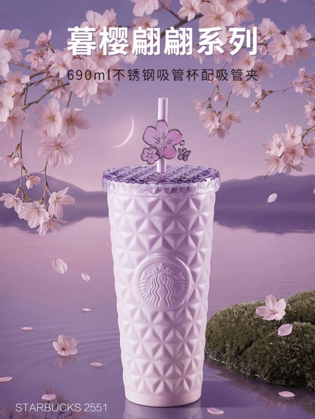 photo_1_2026-03-01_10-03-24