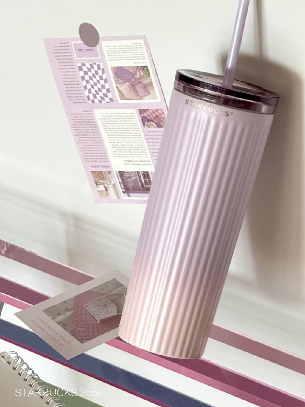 photo_3_2026-03-01_10-04-29