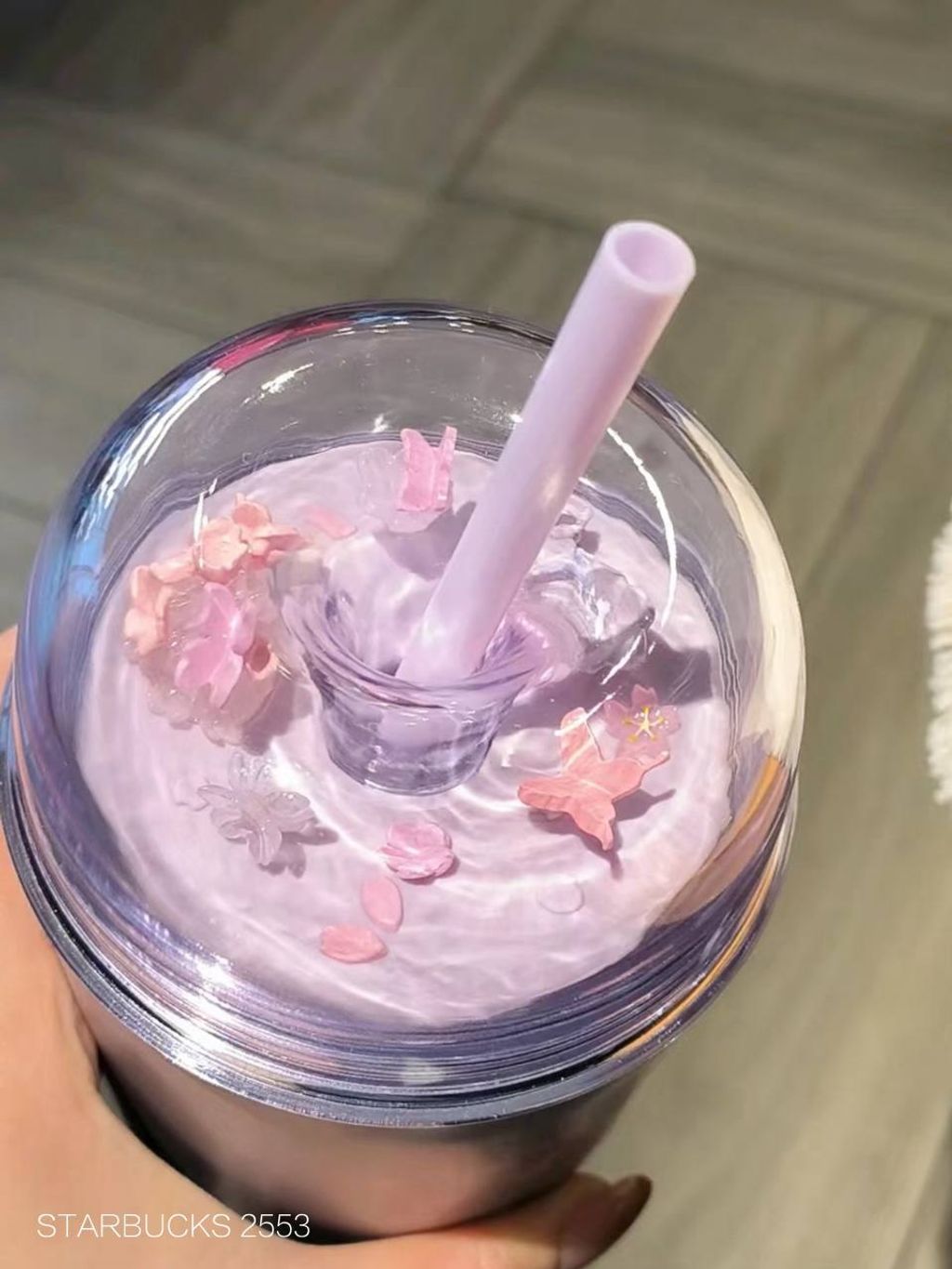 photo_3_2026-03-01_10-05-38