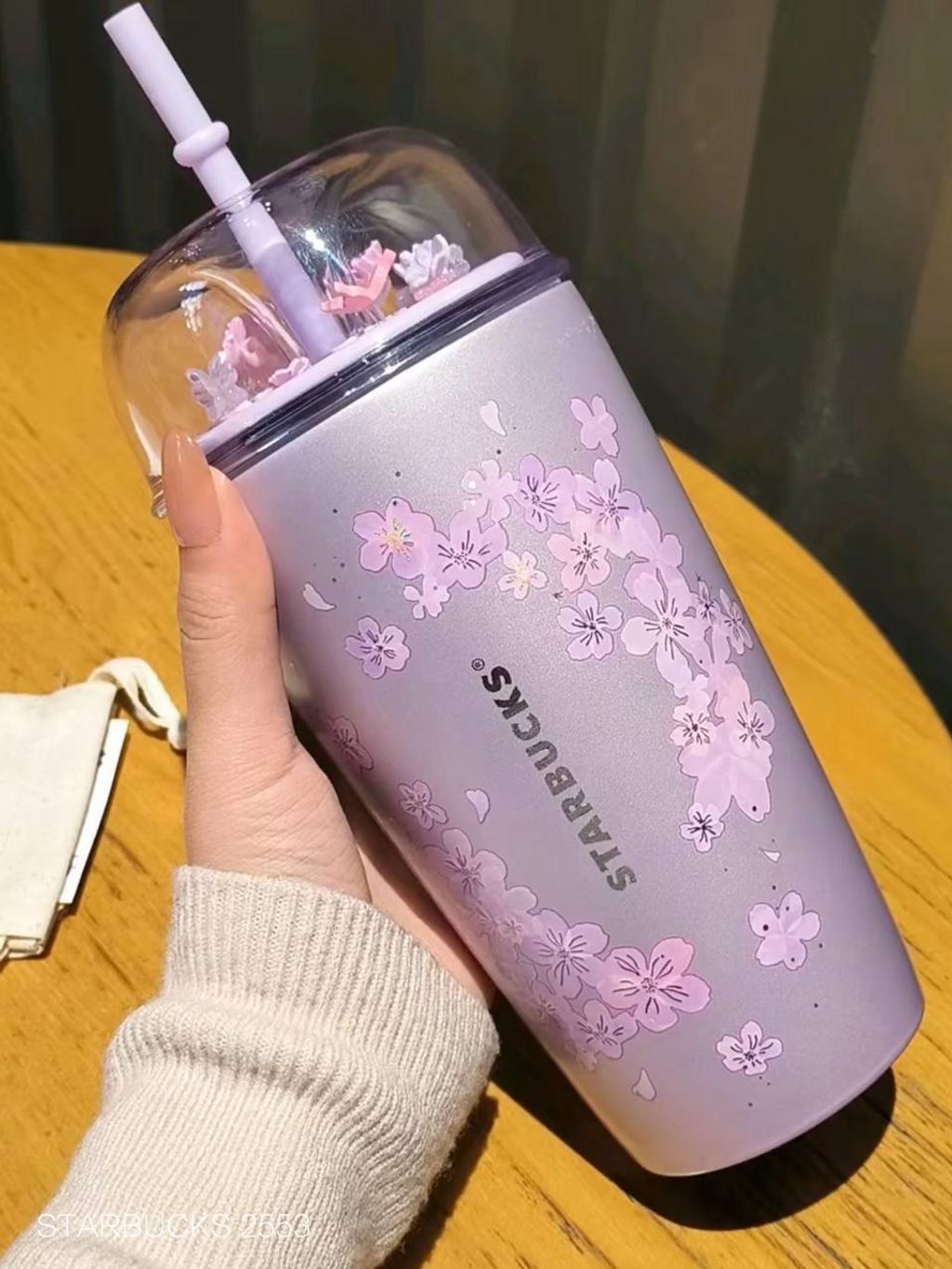 photo_2_2026-03-01_10-05-38