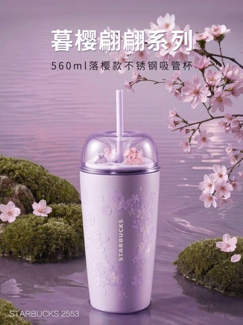 photo_1_2026-03-01_10-05-38