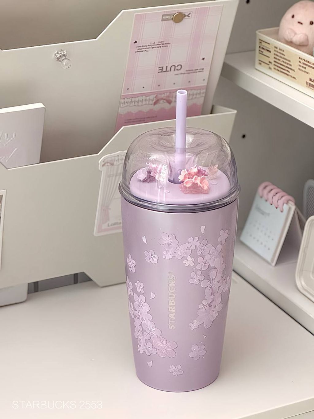 photo_11_2026-03-01_10-05-38