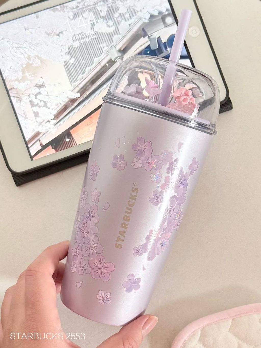 photo_13_2026-03-01_10-05-38