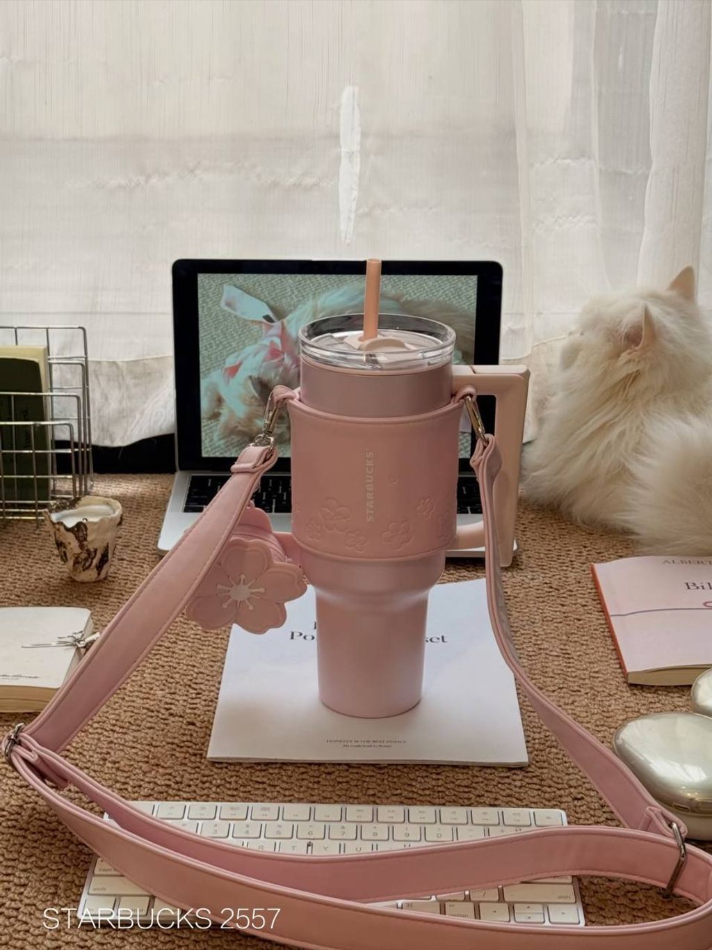 photo_3_2026-03-01_10-09-53