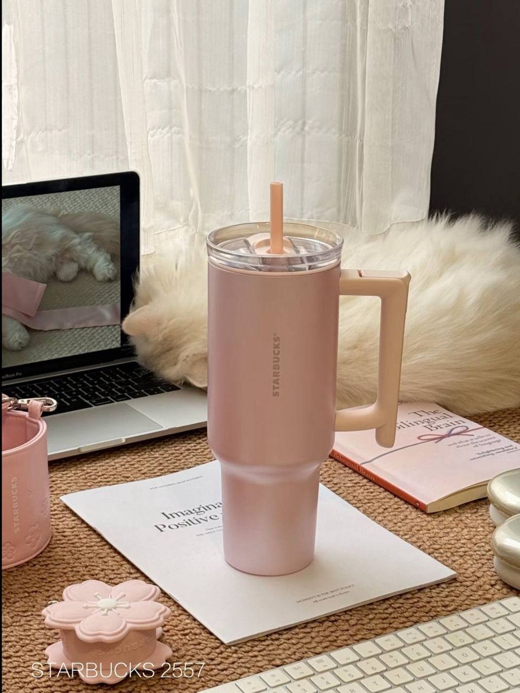 photo_6_2026-03-01_10-09-53