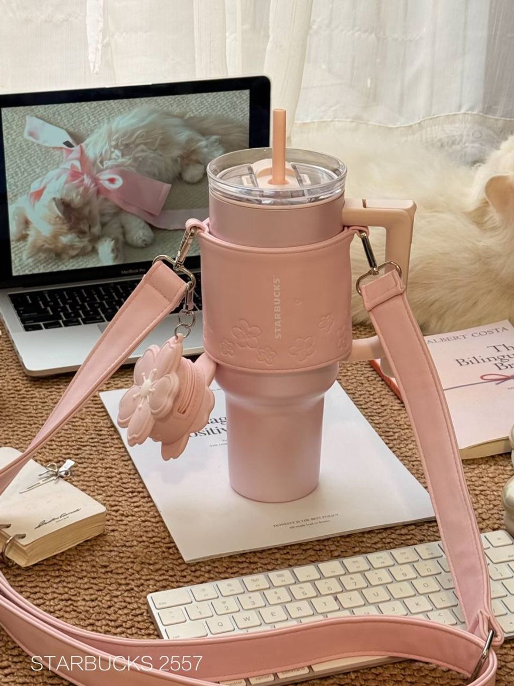 photo_8_2026-03-01_10-09-53