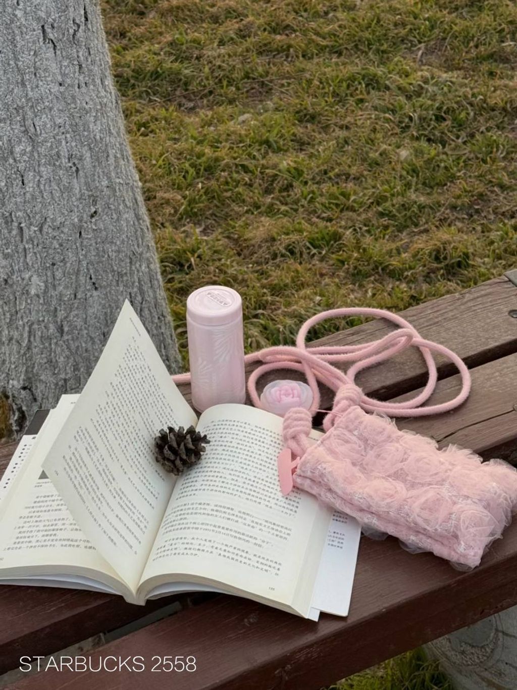 photo_23_2026-03-01_10-11-00