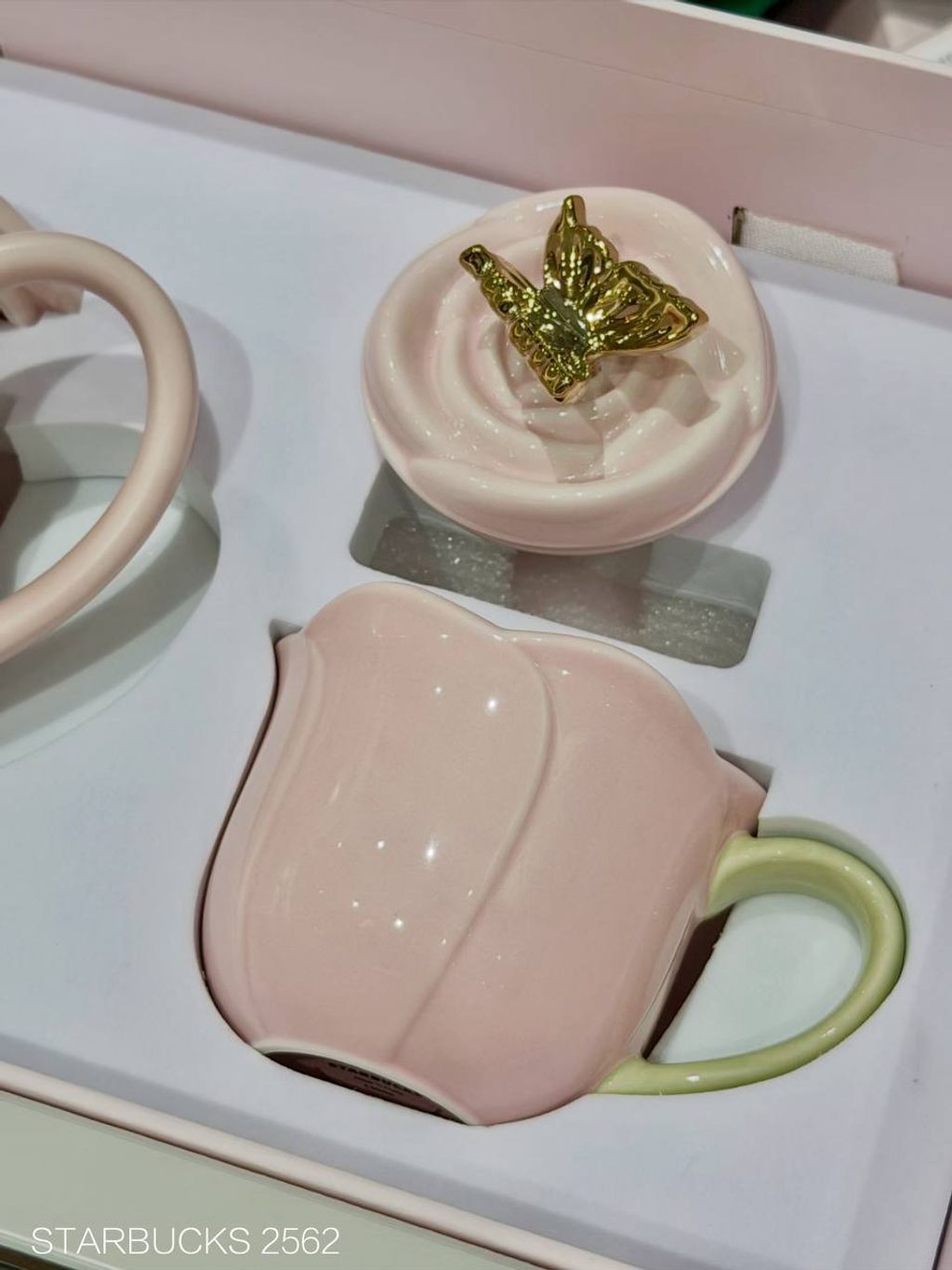 photo_4_2026-03-01_10-15-19