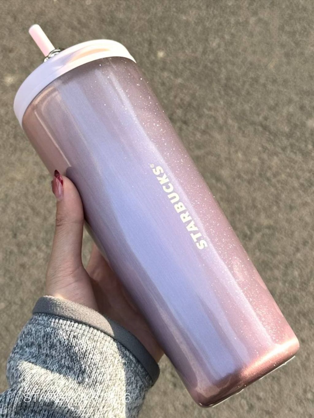 photo_17_2026-03-01_10-18-49