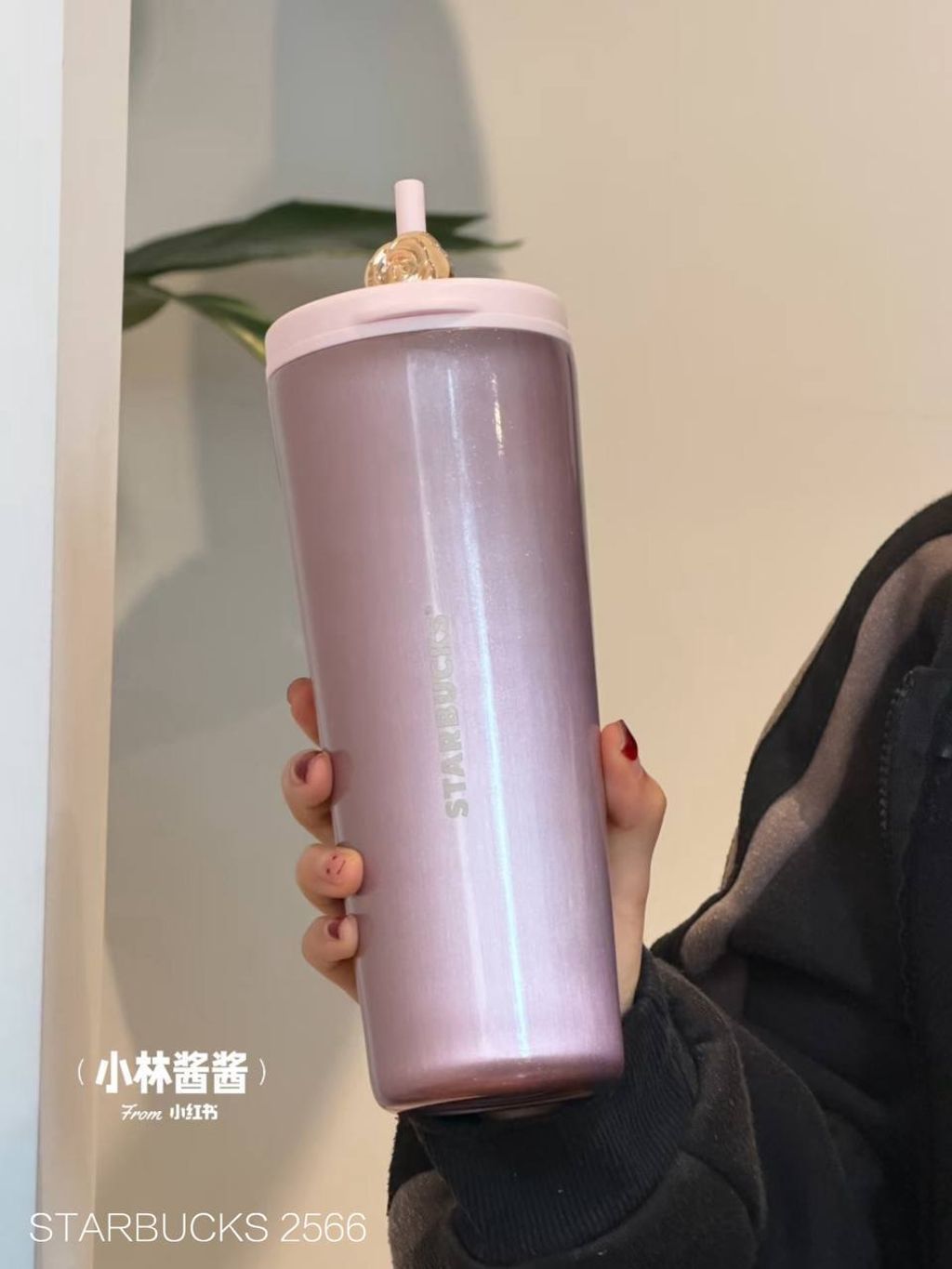 photo_7_2026-03-01_10-18-49