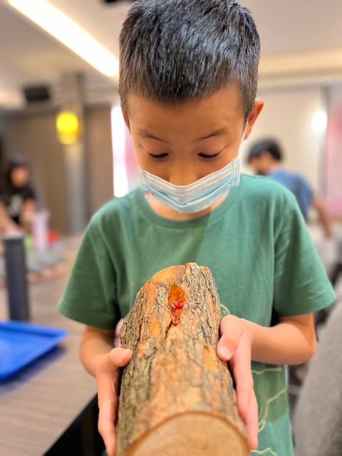 LINE_ALBUM_恐龍營照片_240501_12