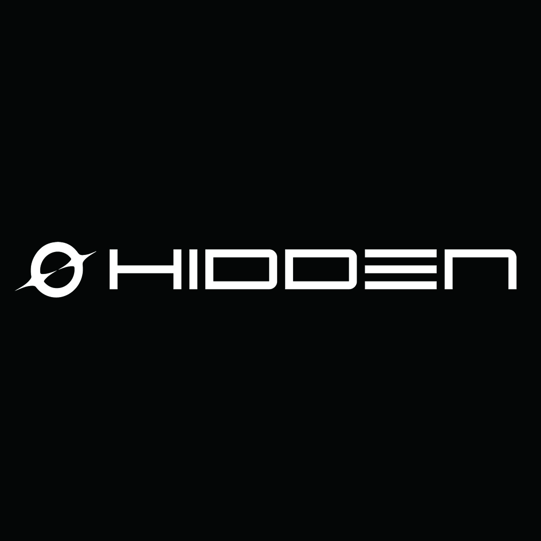 hidden wedge trainers