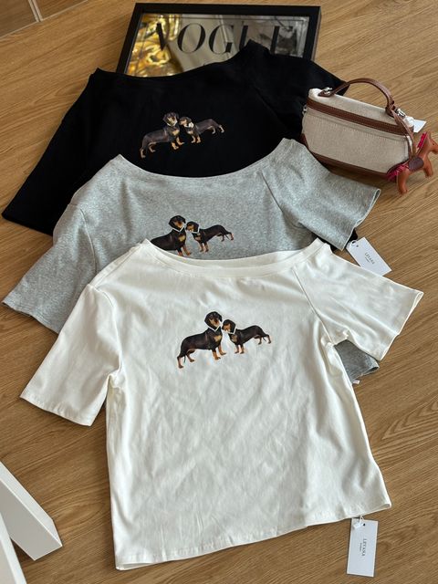 image_7F3E6B56-0754-4535-A1FD-21DD94DB7680_1755685476