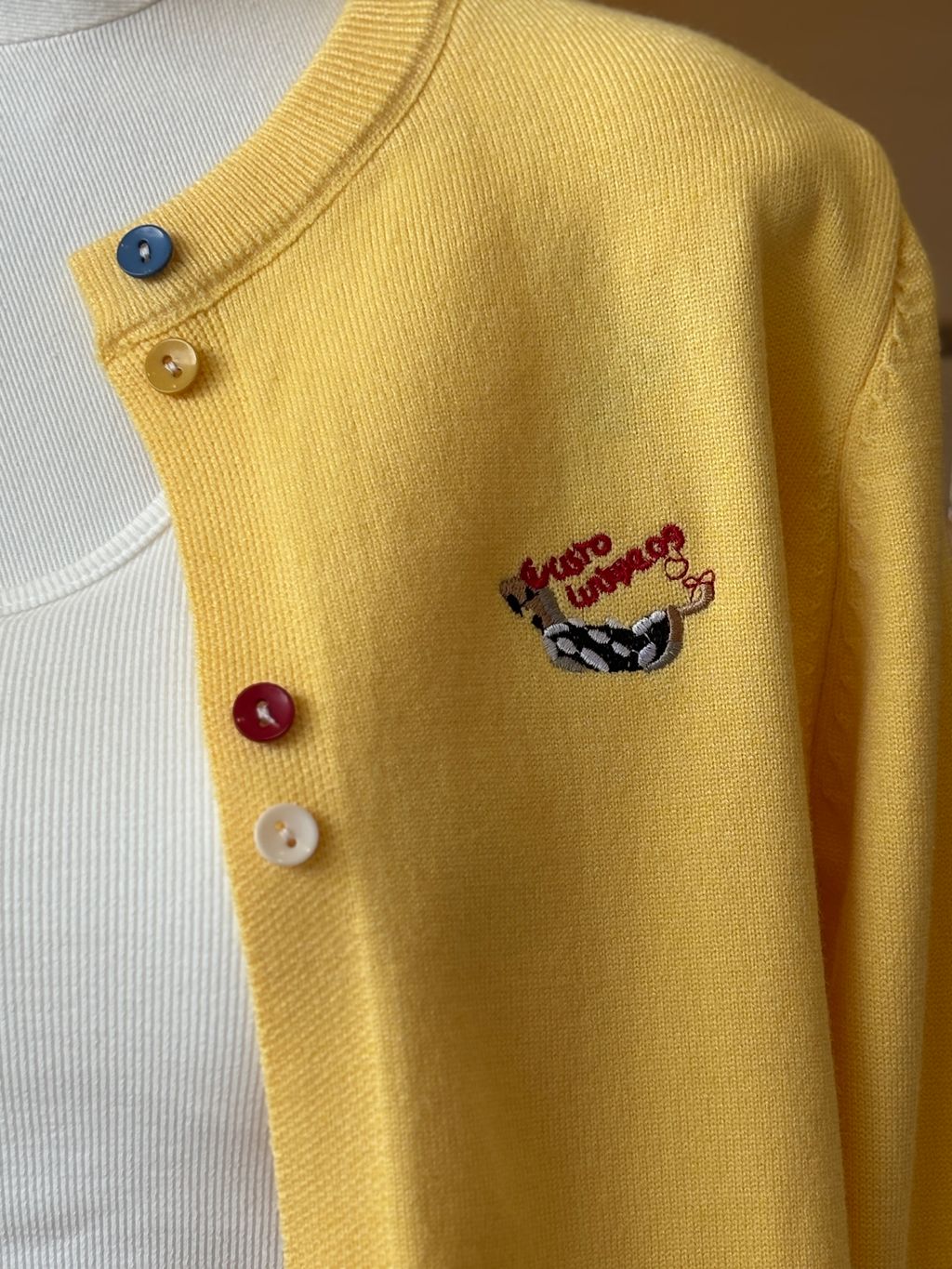 image_A0FFE75A-4E08-4CDC-9C66-A9CFB0EF8E22_1757312339