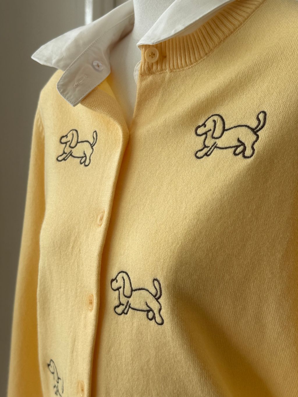 image_4FB999D5-3ADC-481A-BED6-2B522494799F_1769059888