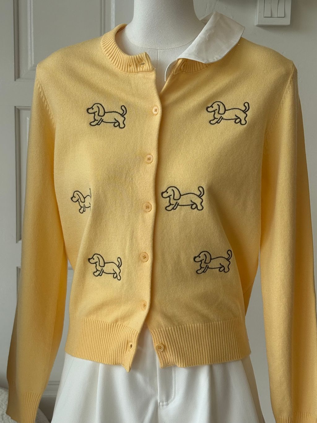 image_6F7CCD66-3798-4B01-88F9-B3B322BBEDE5_1769059888