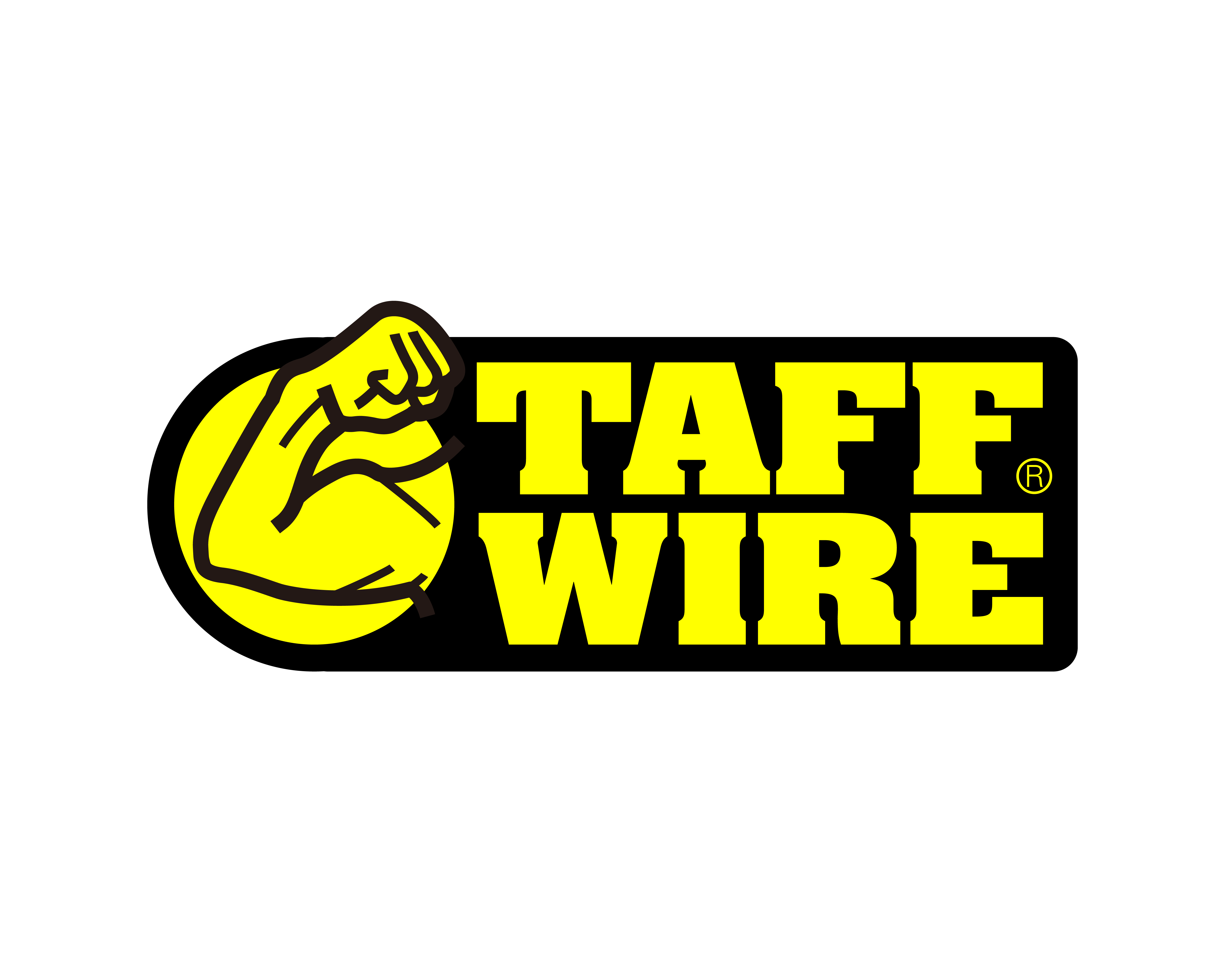 TAFF WIRE 主圖