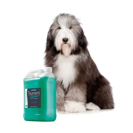 ARTERO | Magicpet Pro 