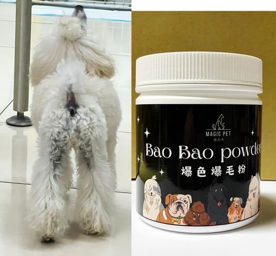 爆色爆毛粉 BAO BAO POWER | Magicpet Pro 