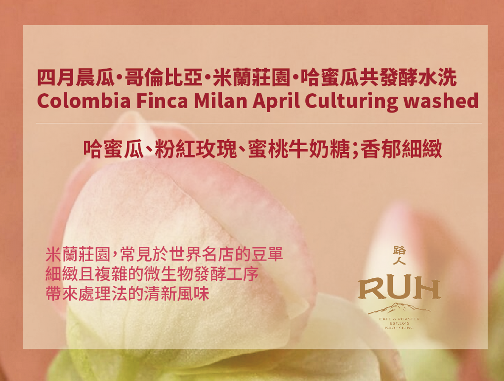 四月晨瓜・哥倫比亞・米蘭莊園・哈蜜瓜共發酵水洗 | 路人咖啡