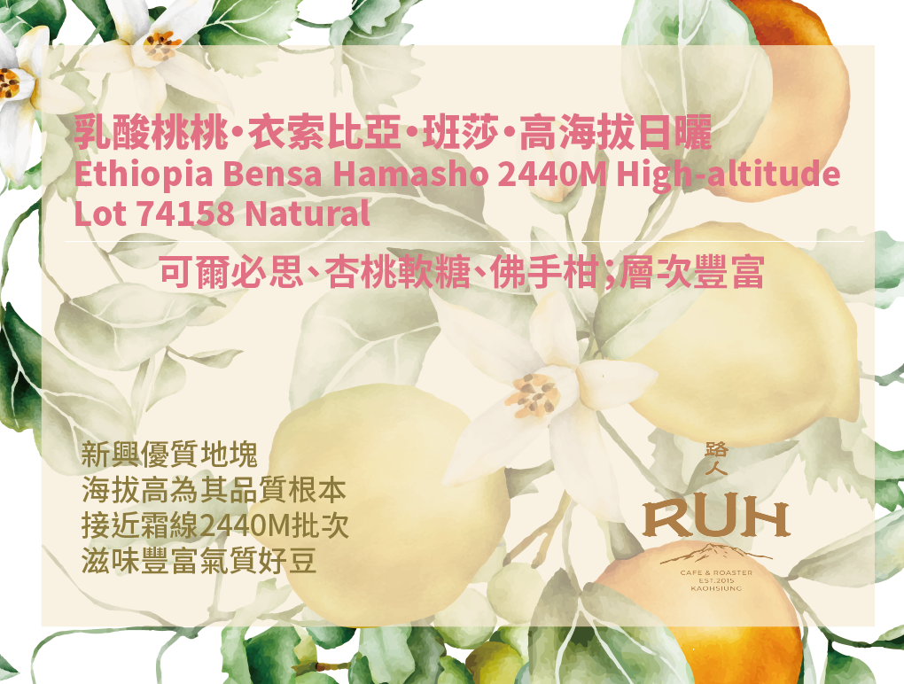Hamasho 2440M High-altitude Lot 74158 Natural | 路人咖啡
