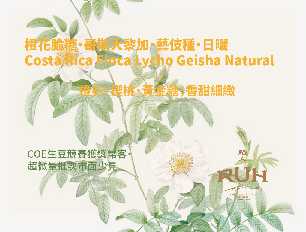 橙花脆糖・哥斯大黎加・藝伎種・日曬 Costa Rica Finca Lycho Geisha Natural | 路人咖啡